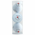 Three Golf Balls in Plastic Tube